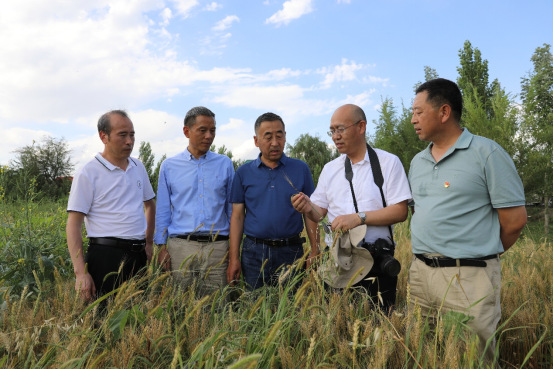 235634cb372f4a948234a6c40009c38c.png image.png