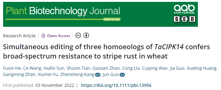 4d48c2255a6d4009b8deb8a89a53cb27.png 论文标题首页图片.png