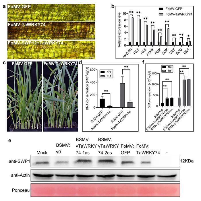 58eb7bf989b64d0199122e090e30fdfb.jpg 图片1-700.jpg