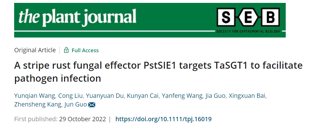 f1244b1abb194137b39184f8da52d054.png 论文标题首页图片.png