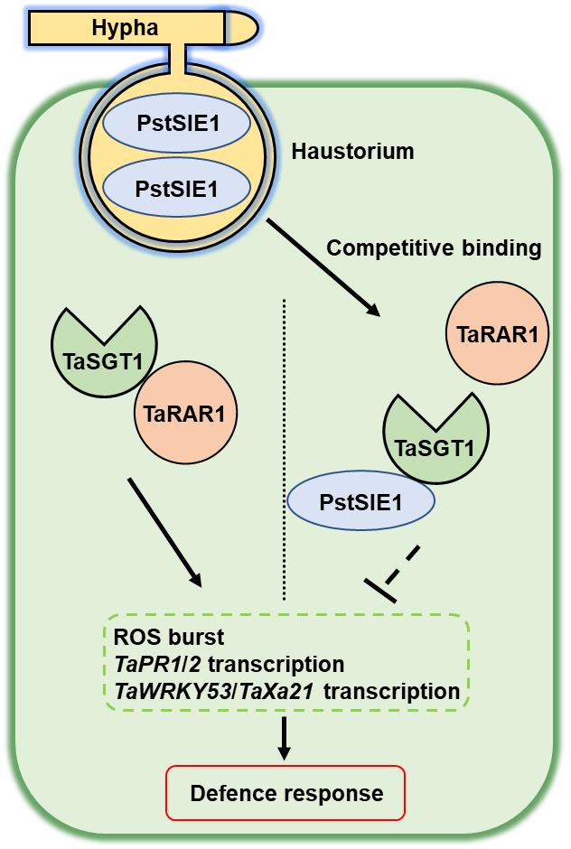 fc64ca7cfcfa45ee9c345e39dffde55b.jpg 更新模式图JPG文件模式图-新20221109__看图王.jpg