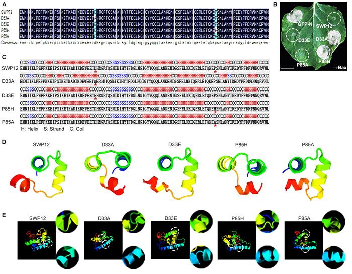 7a7e0bfba8de4381bc4bd7a6cfb625a0.jpg 图片2-700.jpg