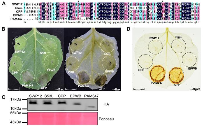 7b701ef7ec8e4c26a6bb47073f9b5375.jpg 图片3-700.jpg