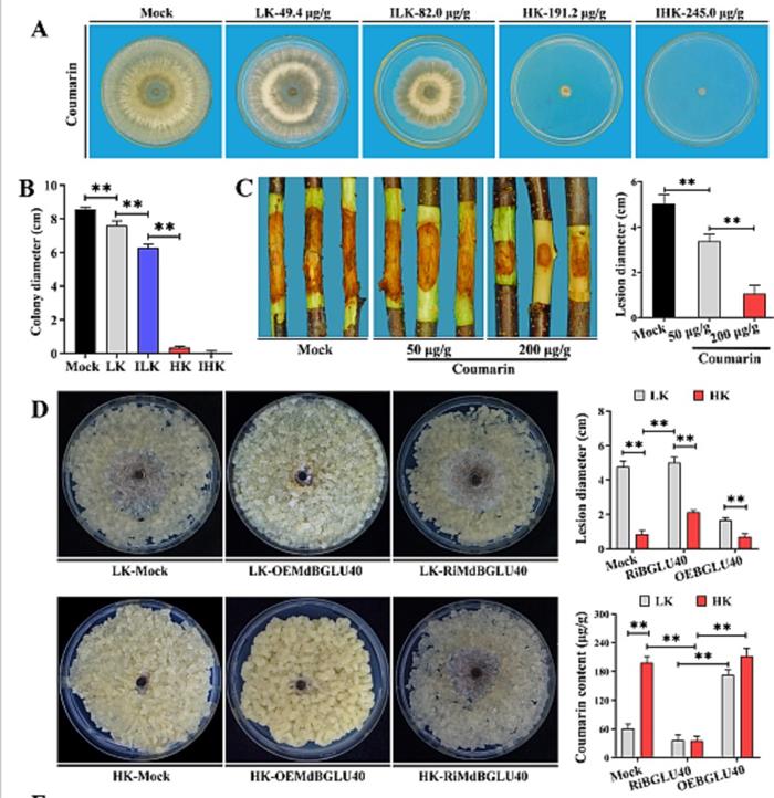 3dad9cfafe4a428da2414af1cf388681.jpg 图片2-700.jpg