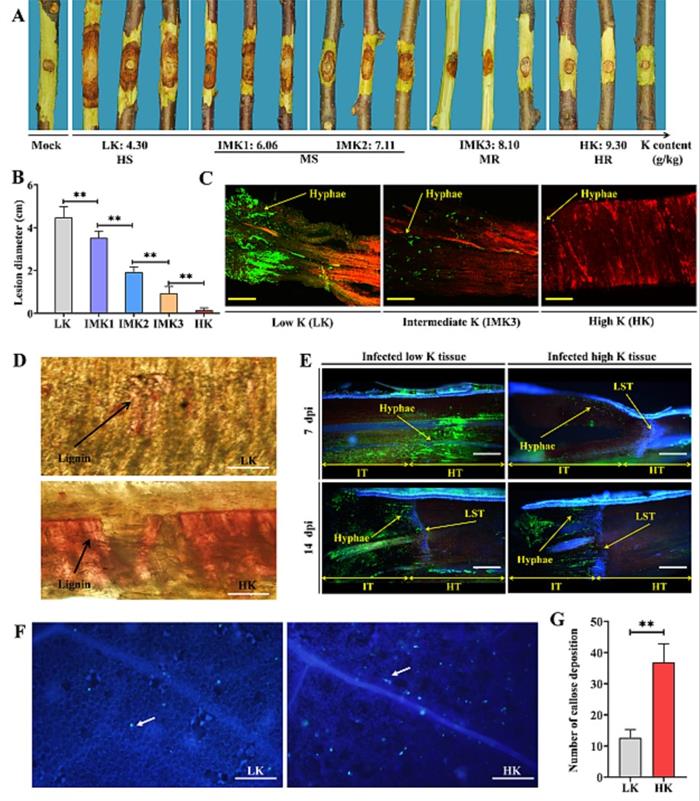 565db1ebe4324f5f99cf7ff246fc8cf1.jpg 图片1-700.jpg