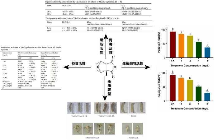 371eb940958d4a5b8fa13c9ac1033bff.jpg 图片-700.jpg